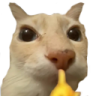 callao emote