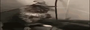 dry emote