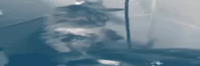 Freeze emote