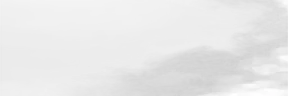 wideFog0 emote