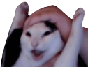 WAHOO emote