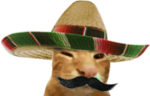 arribuh emote