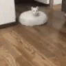 SCroomba emote