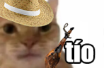 tio emote