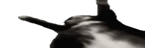 WidestJigglin emote
