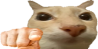 Point emote