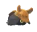 SNIFF