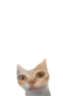 er emote