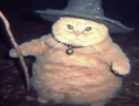 fatasswizardtryingtocastaspellonyou emote