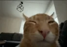 buhroar emote