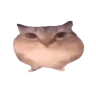 wowo emote