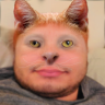 LemonCat emote
