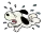 WAAAAH