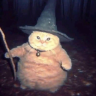 catWizard emote