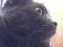 Unbelievable emote