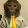 MonkeyPrayge emote