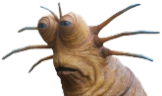 liveslugreaction emote