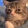 Really emote