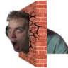 FIRMA emote