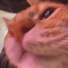 age emote