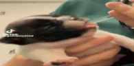 WAZAAAA emote