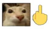 deo emote