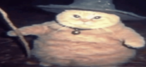 fatterasswizardtryingtocastaspellonyou emote