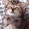 gn emote