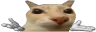 otagShrug