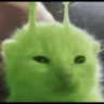 glorpBlicky emote
