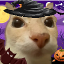 dosecat