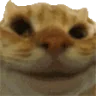 Sisi emote