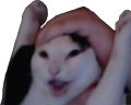 wa emote