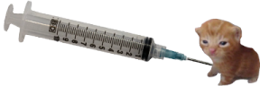 fentbert emote