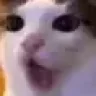 sprichrasch emote