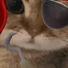 catPirate emote