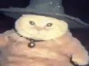 fatasswizardcastslightning emote