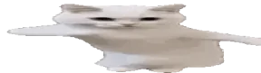 fasttime emote