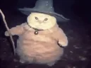 fatasswizardblicky emote