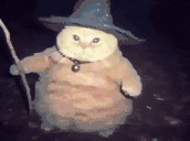 wizardGun