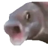 OOOO emote
