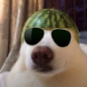 COOLDAWG emote