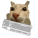 dosechatting