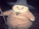 fatasswizardcastsblizzard emote