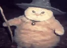 fatasswizardcastsdeepslumber emote