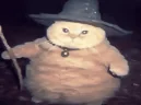 fatasswizardcastsVanish emote