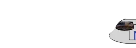 NearAirport emote