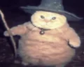 fatasswizardcastsbarrier emote