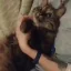 :3
