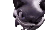 Freaky emote